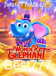 Explorando o Universo de WonderElephant com Best777